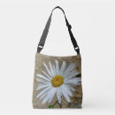 Suche nach leucanthemum Weiß