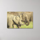 Suche nach indische leinwandbilder Indischer elefant