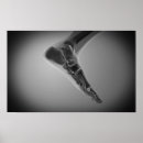 Suche nach menschlicher fuß poster Anatomie