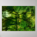 Suche nach green river poster Natur