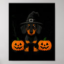 Suche nach schwarze hexe poster Spinnennetz
