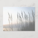 Suche nach whisky poster Seeköche