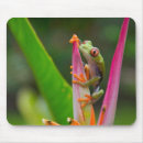 Suche nach costa mousepads Grün