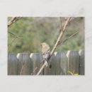 Suche nach vogelbeobachter postkarten Naturliebhaber