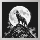 Suche nach heulender wolf poster Natur