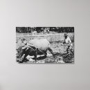 Suche nach büffel poster leinwandbilder Laterne