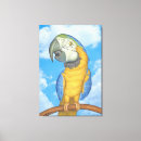 Suche nach die regenwälder leinwandbilder Regenwald