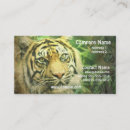 Suche nach sibirisch visitenkarten Tiger