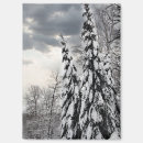 Suche nach schneebedeckte bäume magnete Winter