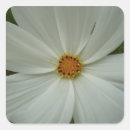 Suche nach cosmos aufkleber Natur