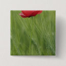 Suche nach rote mohnblume buttons Europa