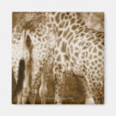 Suche nach süden magnete Natur