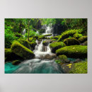 Suche nach wanne poster Natur