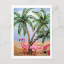 Suche nach everglades poster Wildtiere