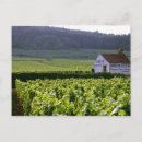 Suche nach weinberg postkarten Europa