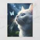 Suche nach katze mit blauen augen postkarten Flüssig
