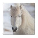 Suche nach weißes pferd fliesen Pony