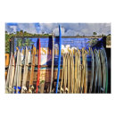 Suche nach inselleben poster Hawaii