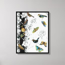 Suche nach schwarzer vogel leinwandbilder Botanisch