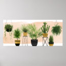 Suche nach collections poster Pflanze