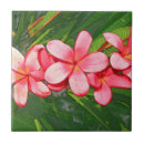 Suche nach frangipani fliesen Gelb