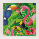 Suche nach bunte vögel puzzle Wild lebende tiere