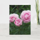 Suche nach pfingstrosen karten Fotografie