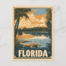 Suche nach florida alligator postkarten Sumpf