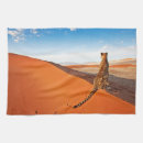 Suche nach wüste geschirr tücher Landschaft