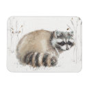 Suche nach waschbär magnete Waldland