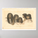 Suche nach indigen poster Native