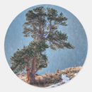 Suche nach estes park aufkleber Colorado