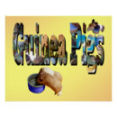 Suche nach guinea poster Haustier