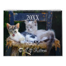 Suche nach katzen kalender 2021