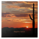 Suche nach sunset fliesen Sonnenuntergang