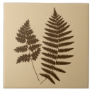 Suche nach farne fliesen Pflanzen