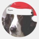 Suche nach englisch aufkleber Englisch springer spaniel