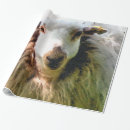 Suche nach mutterschaf geschenkpapier Nutztiere