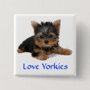 Suche nach yorkie accessoires Welpen