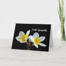 Suche nach plumeria karten Frangipani