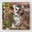 Suche nach lemur kunst poster Ringschwanz