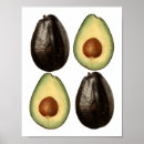 Suche nach avocado poster Aquarell