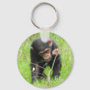 Suche nach schimpansen schlüsselanhänger Primate