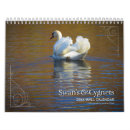 Suche nach schwan kalender Federn