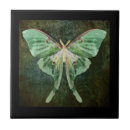 Suche nach motte fliesen Luna