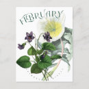 Suche nach februar postkarten Blume
