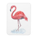 Suche nach flamingo magnete Natur