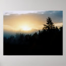 Suche nach foggy poster Fotografie