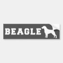 Suche nach beagle autoaufkleber Welpe