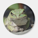 Suche nach baumfrösche magnete Amphibien
